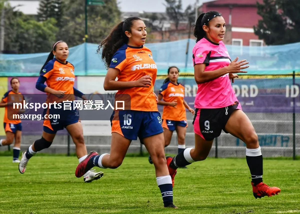 mksports电脑端官网登录入口通道图示